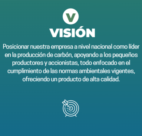 VISION